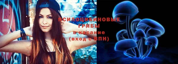 тгк Белокуриха