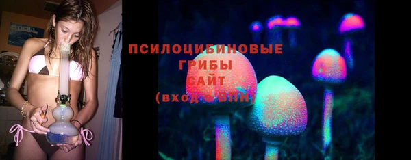 тгк Белокуриха