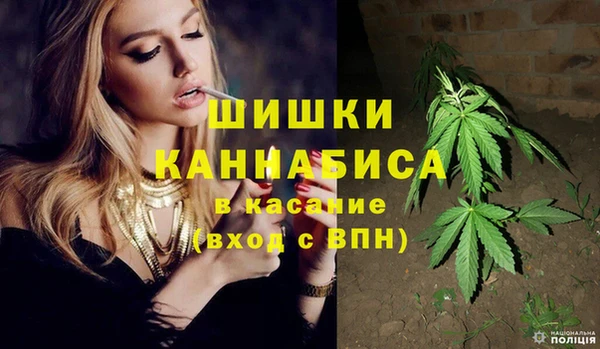 мяу мяу мука Надым