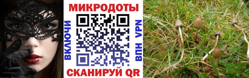 Псилоцибиновые грибы ЛСД  Реутов 