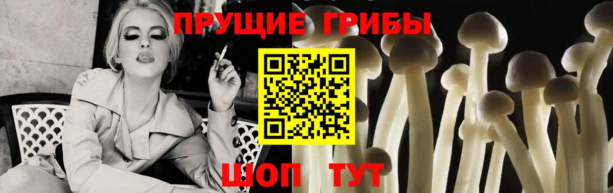 Галлюциногенные грибы мухоморы  Псилоцибиновые грибы Psilocybe  Вход с VPN  Реутов 
